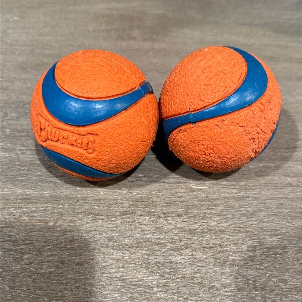 Chuckit! Orange and Blue Dog Balls Size Medium